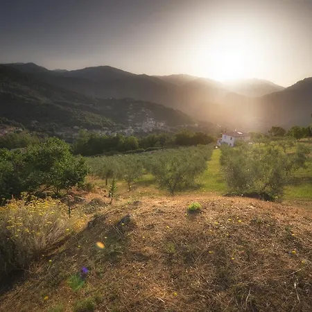 Sarl Aurore-vacances Nyaraló Vico